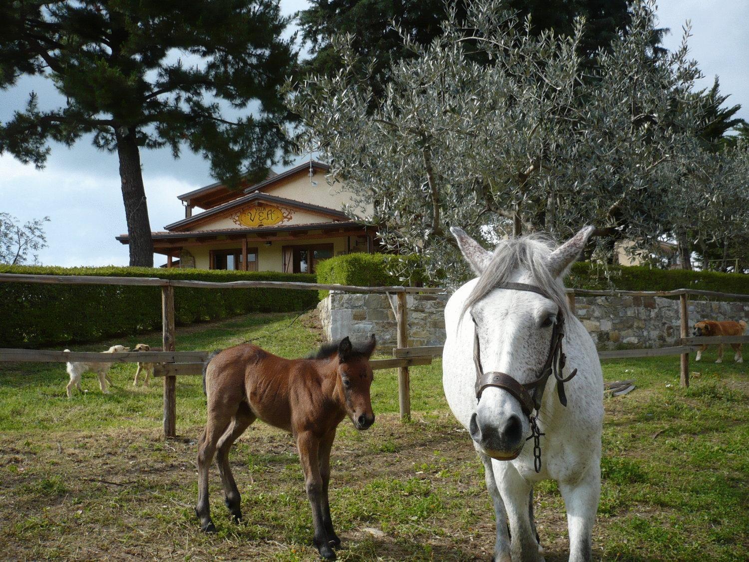 Agriturismo Villa Vea 벨로스구아르도 외부 사진